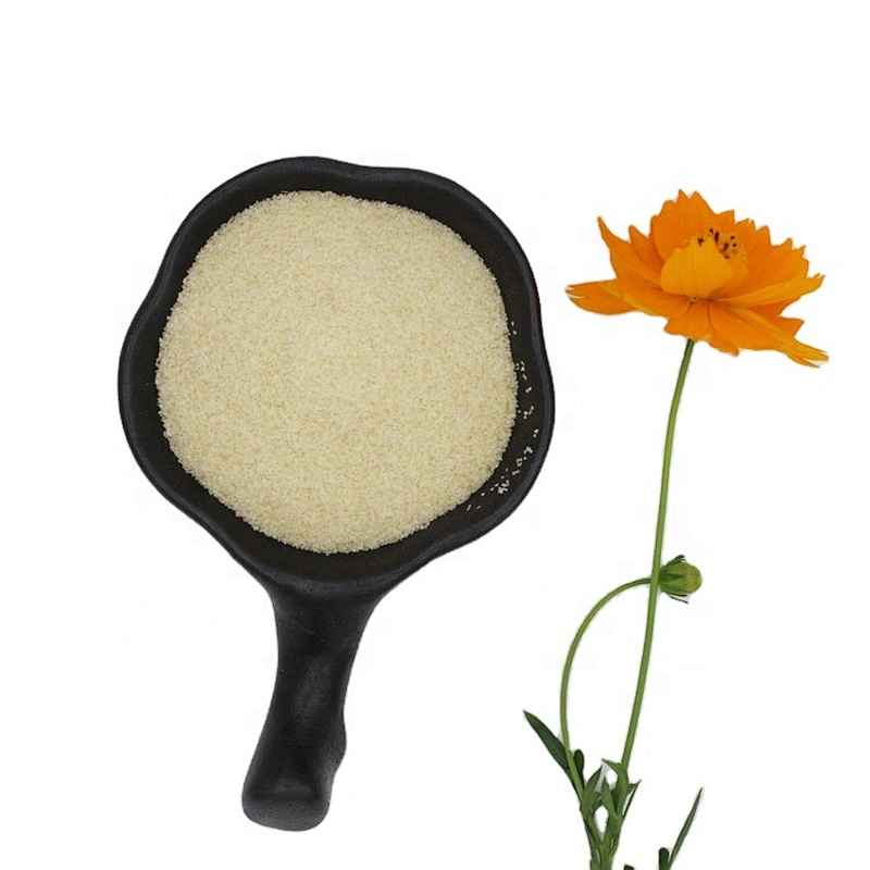 Gelatin High Quality Food Grade Gelatin Powder Thickeners For Food Additive